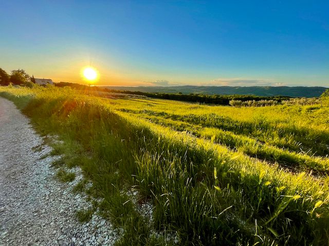 Landschaft rund um Vižinada