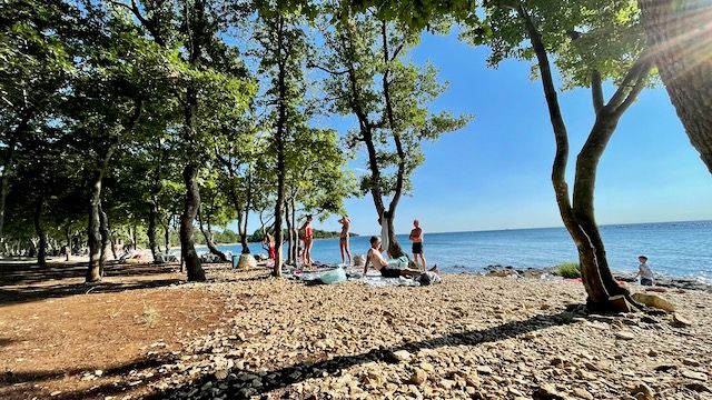 Strand mit Pinien an der istrischen Küste